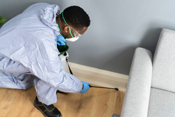 Trusted University Of California Santa Barbara, CA Pest Control Experts